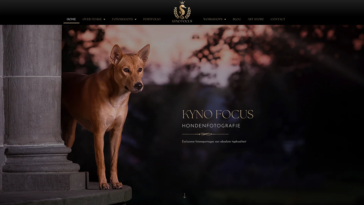 Website Kyno Focus Hondenfotografie